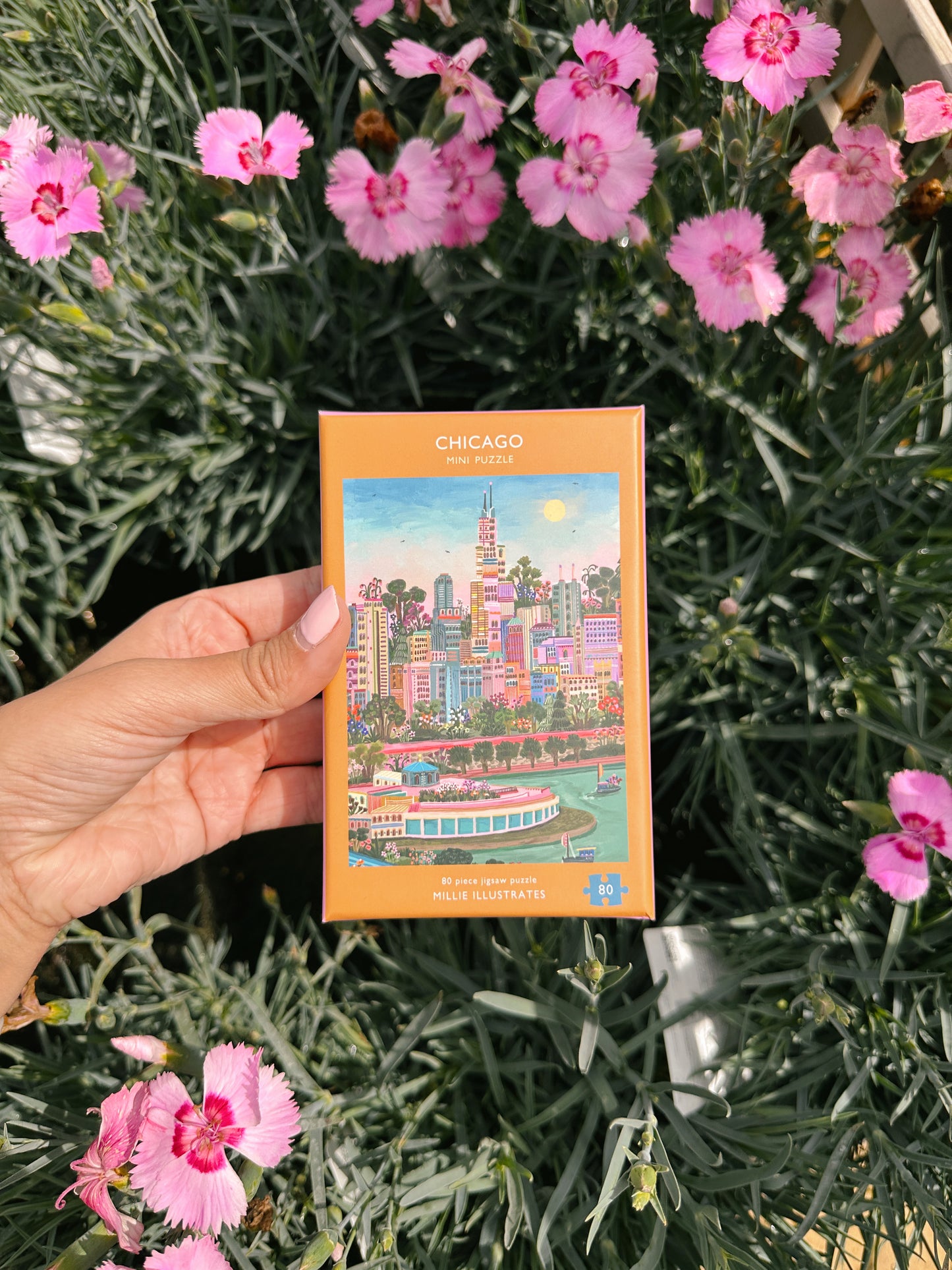 Chicago Mini Puzzle