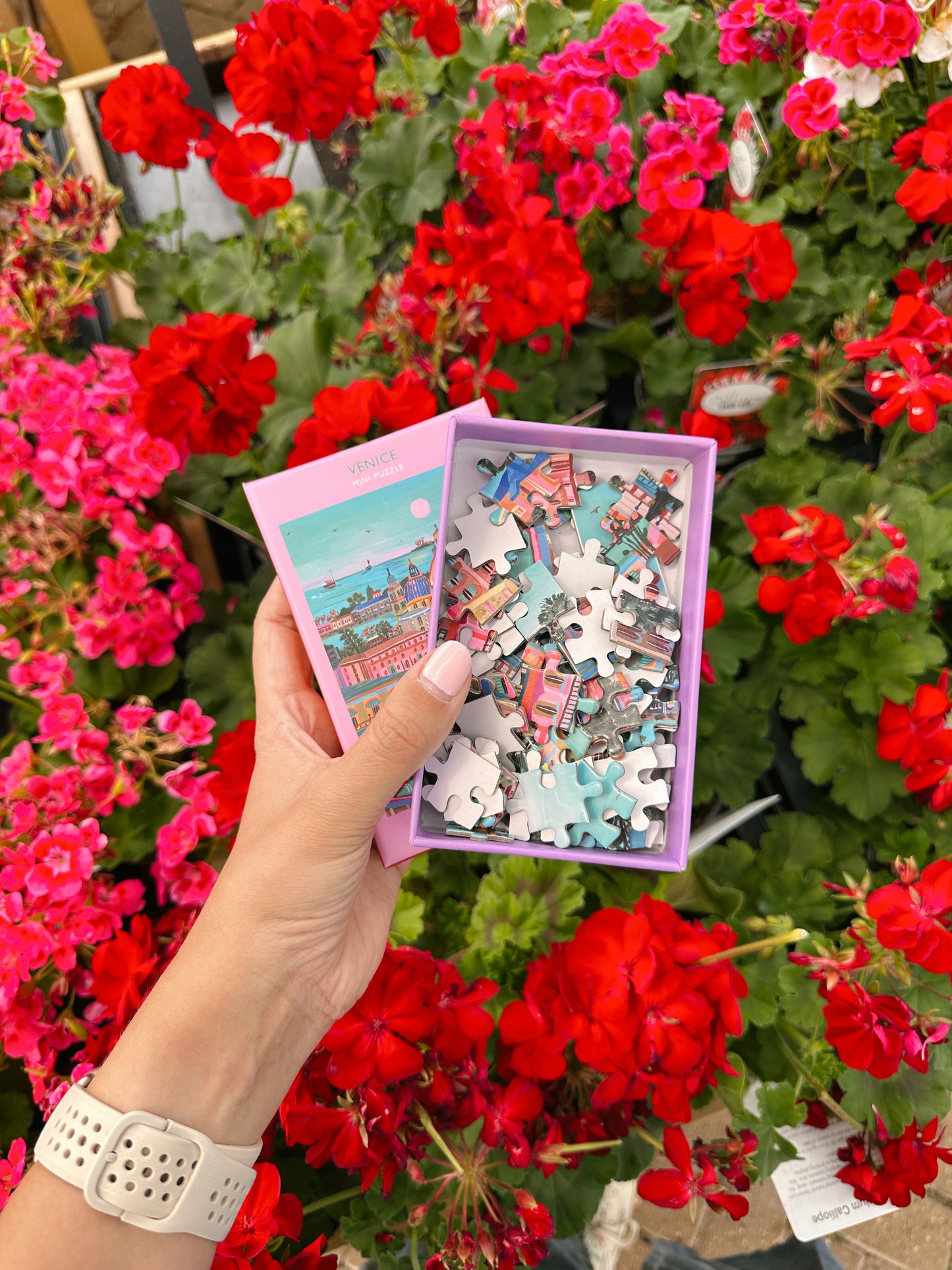 Venice Mini Puzzle