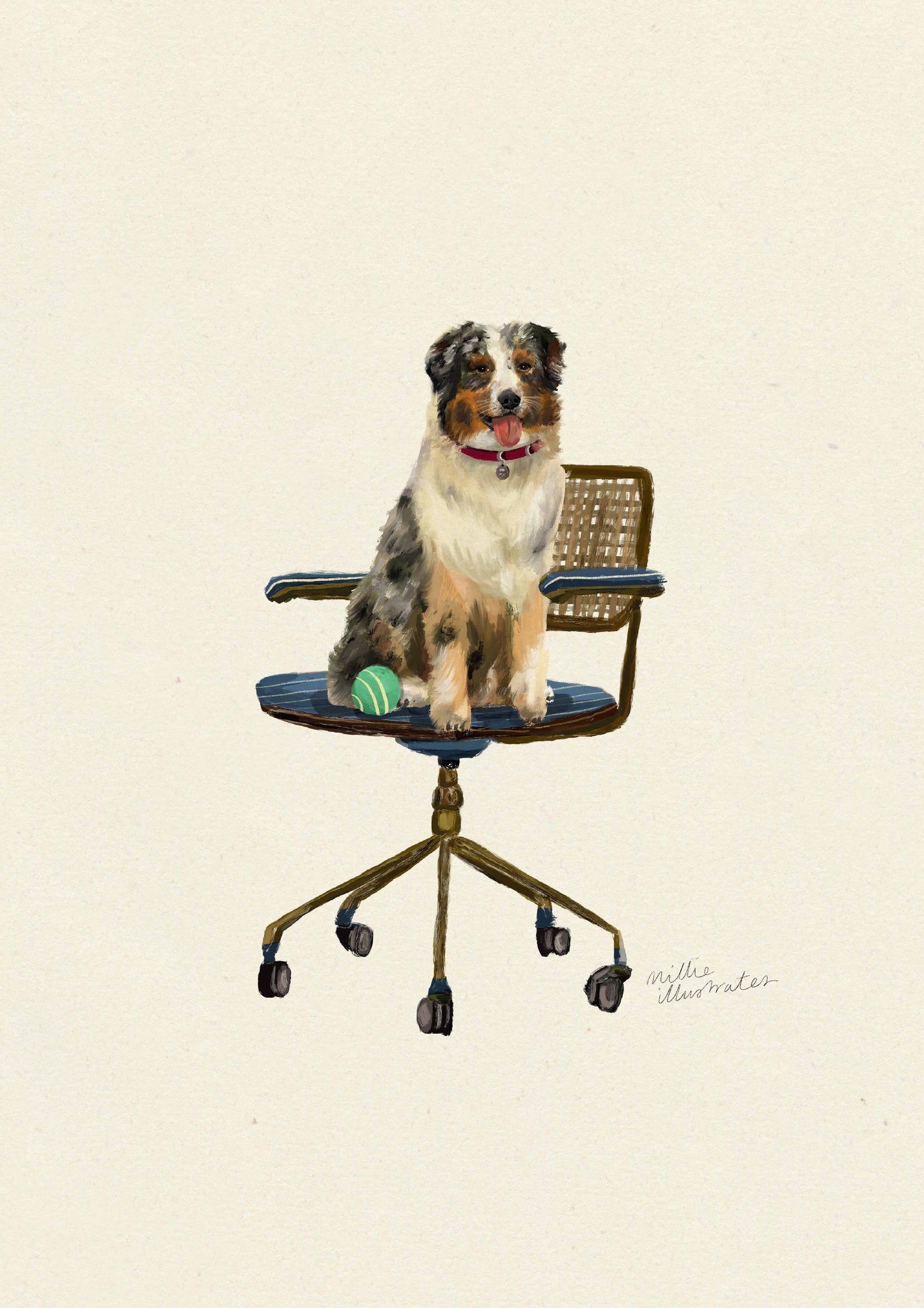 Australian Shepherd