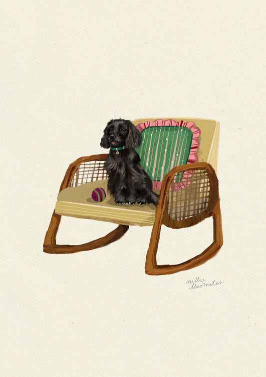 Black Cocker Spaniel