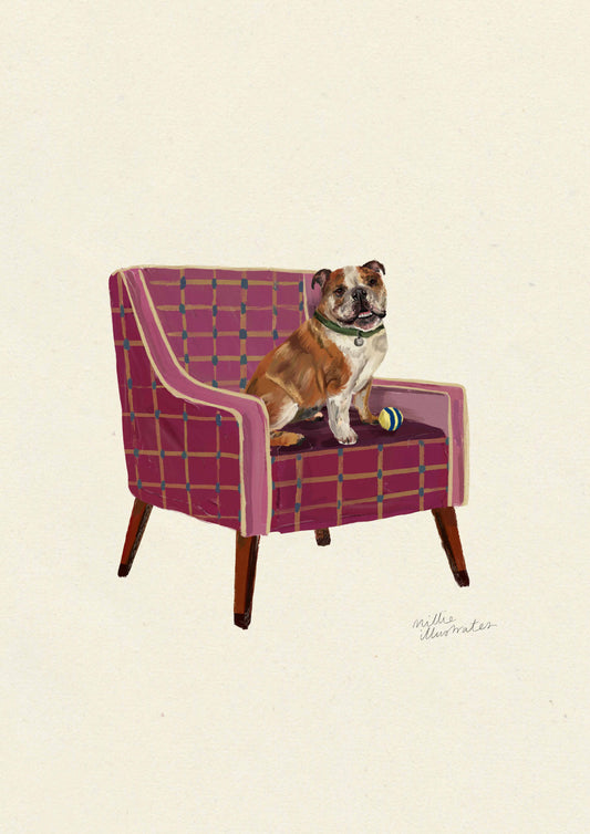 English Bulldog