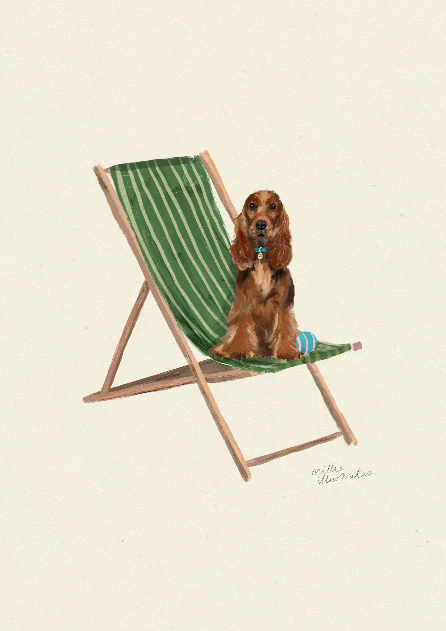 English Cocker Spaniel