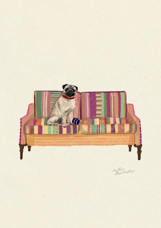 Fawn Pug