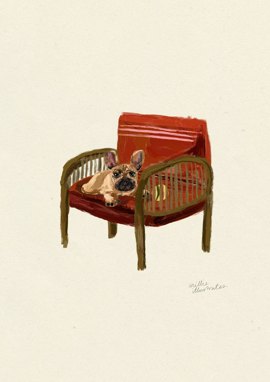 French Bulldog