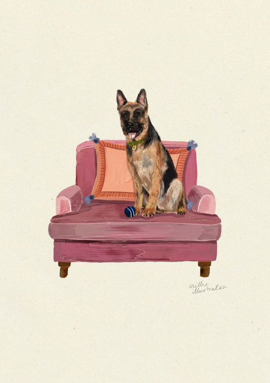 German Shepherd