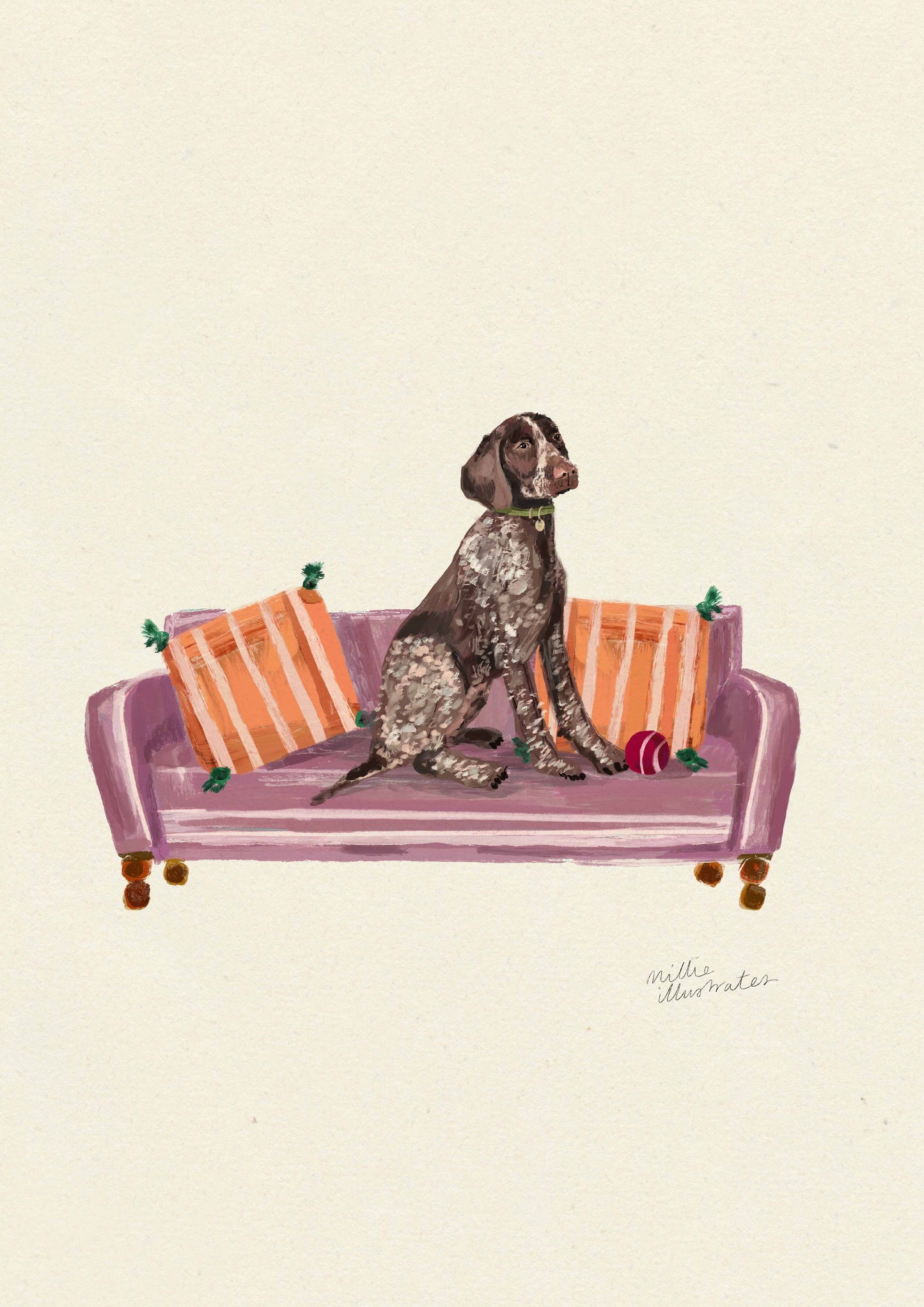 German Shorthaired Pointer