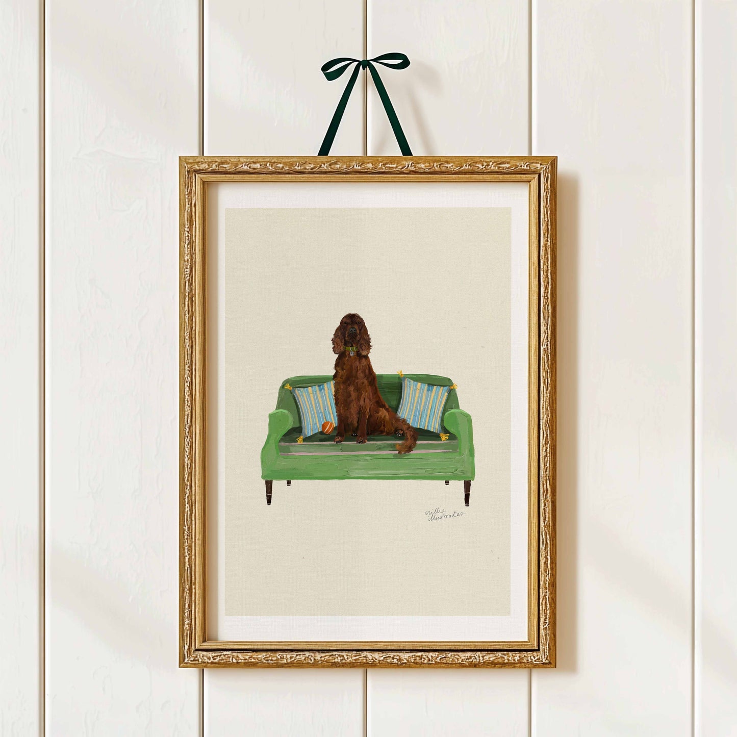 Irish Setter