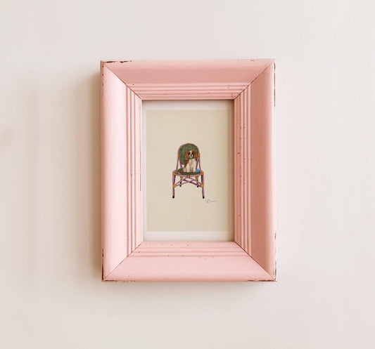 Cavalier King Charles Spaniel - Blenheim