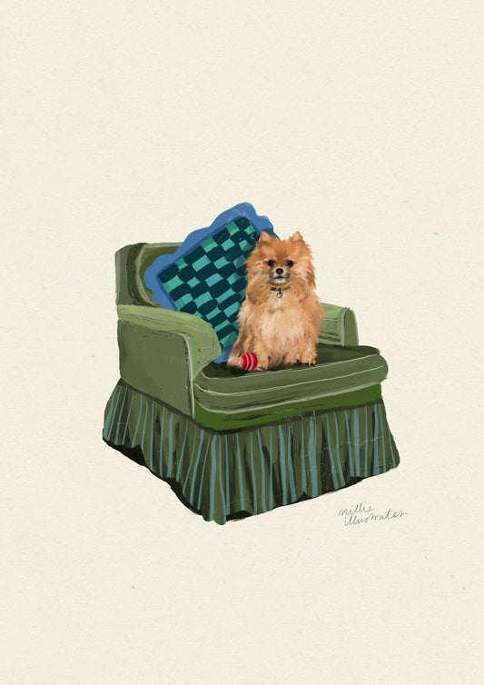 Pomeranian