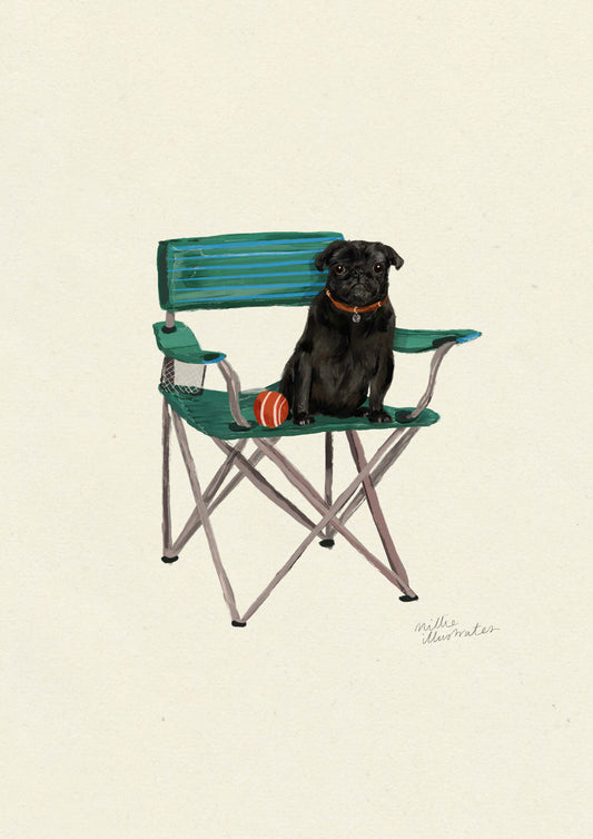 Black Pug
