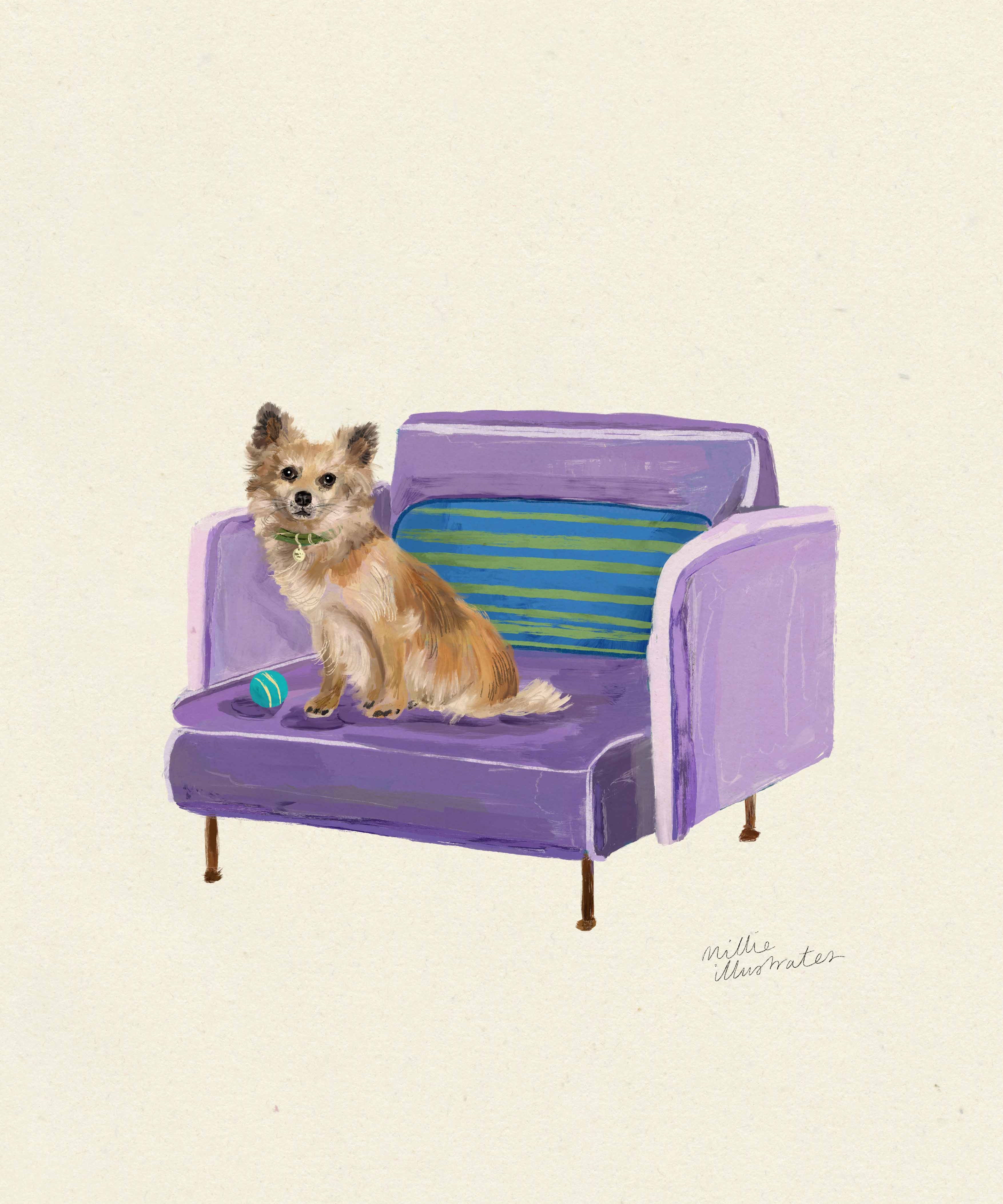 Chihuahuamain.jpg