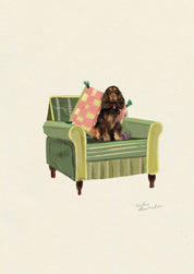 Liver & Tan Show Cocker Spaniel