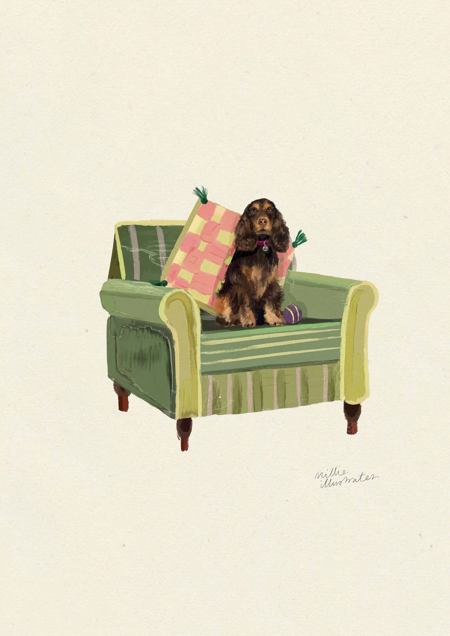 Liver & Tan Show Cocker Spaniel