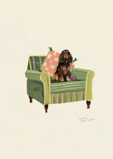 Liver & Tan Show Cocker Spaniel