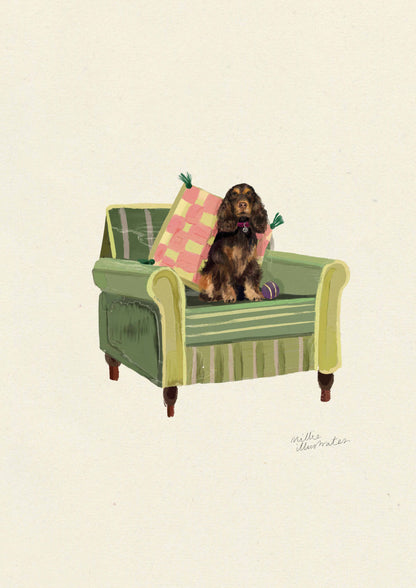 Liver & Tan Show Cocker Spaniel