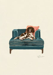 Springer Spaniel
