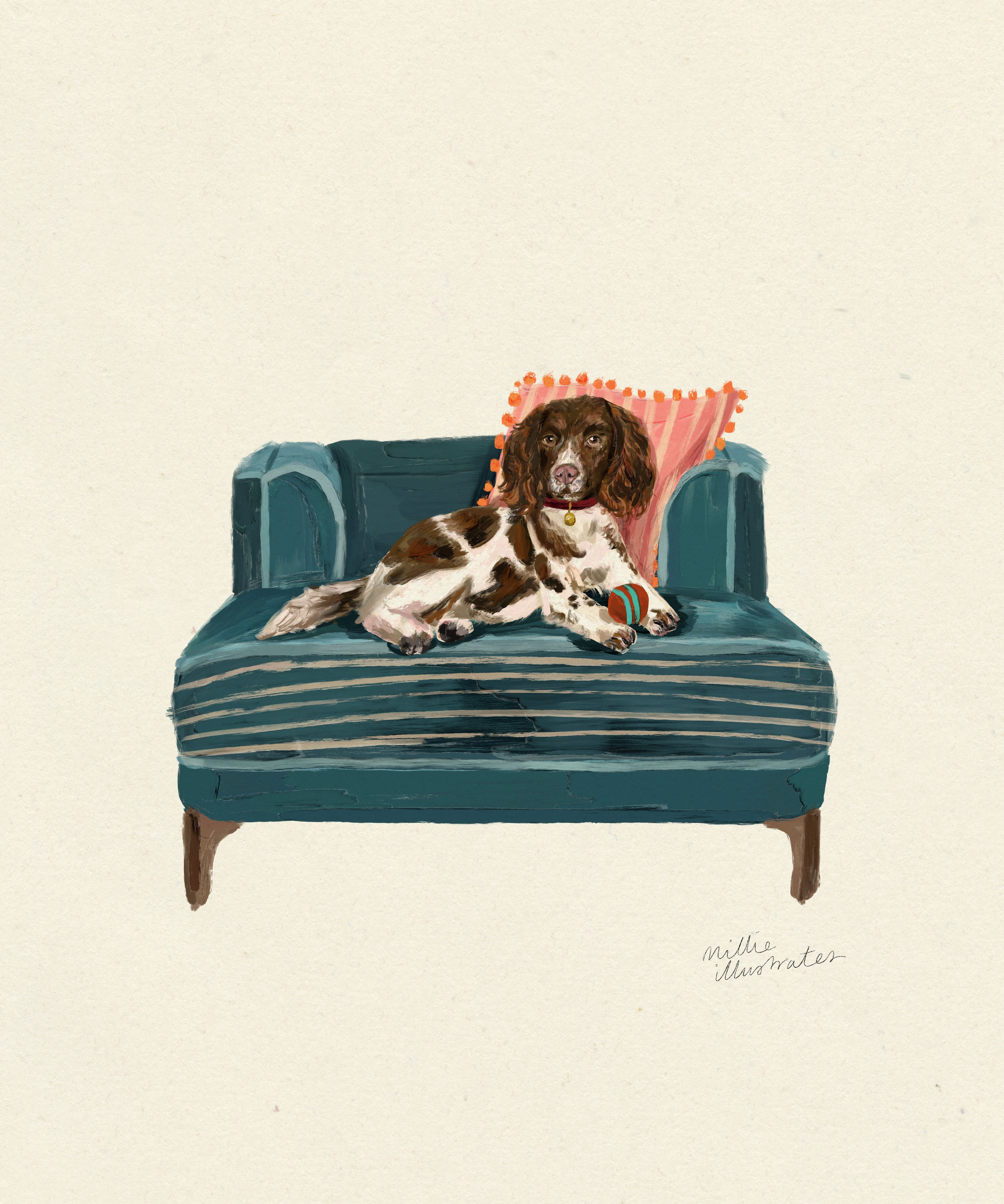 SpringerSpaniel.jpg