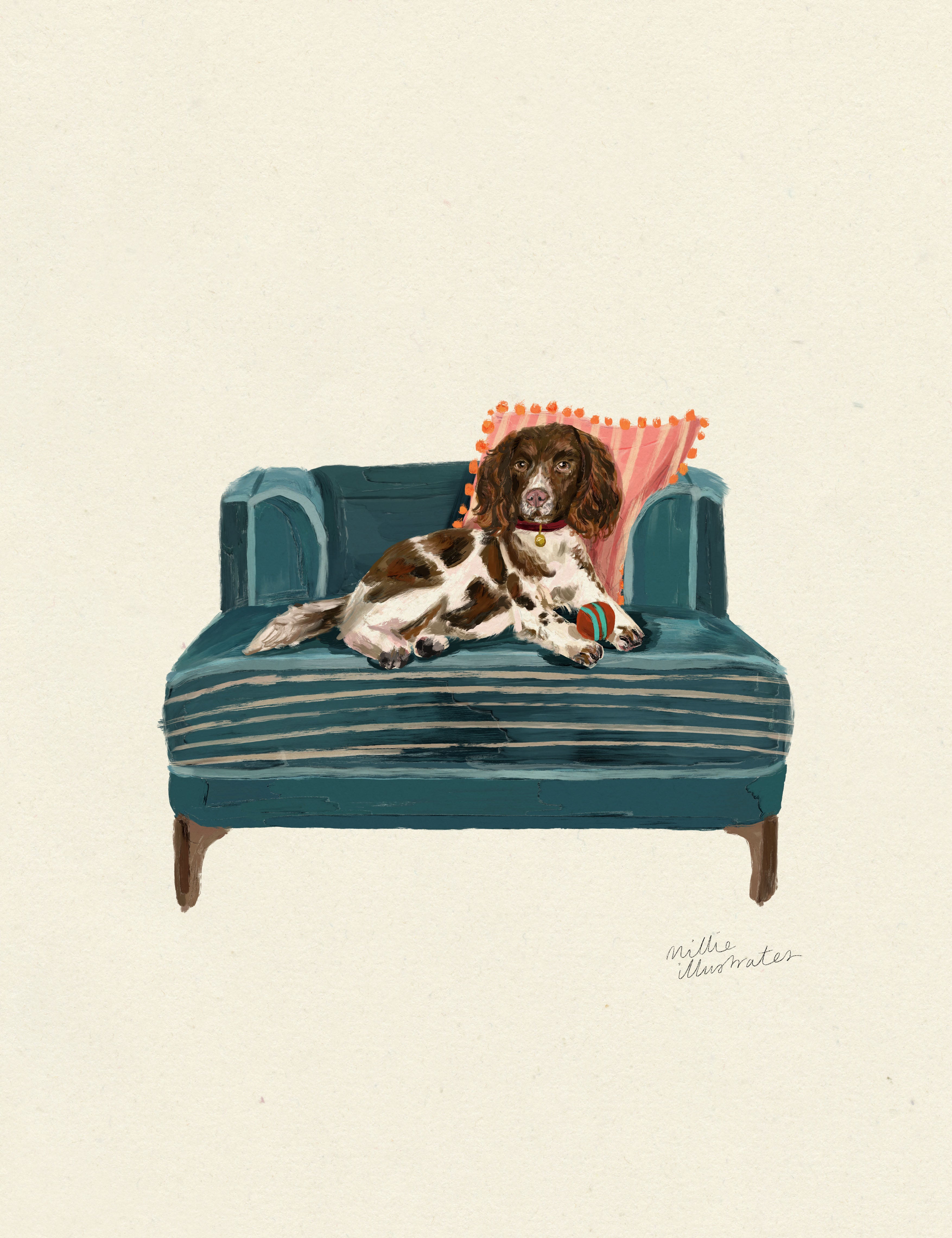 SpringerSpaniel.jpg