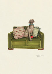 Weimaraner