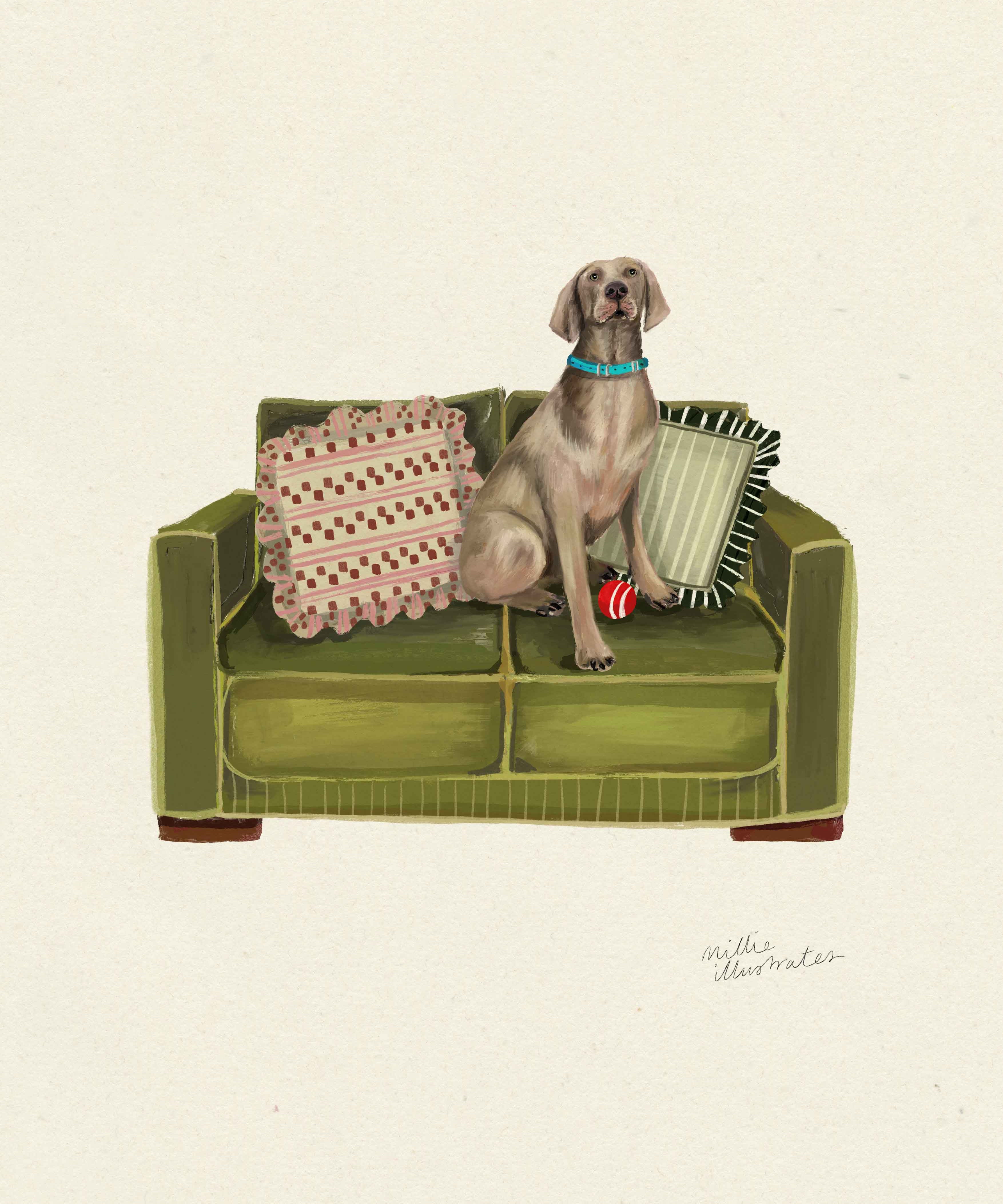 Weimaraner.jpg