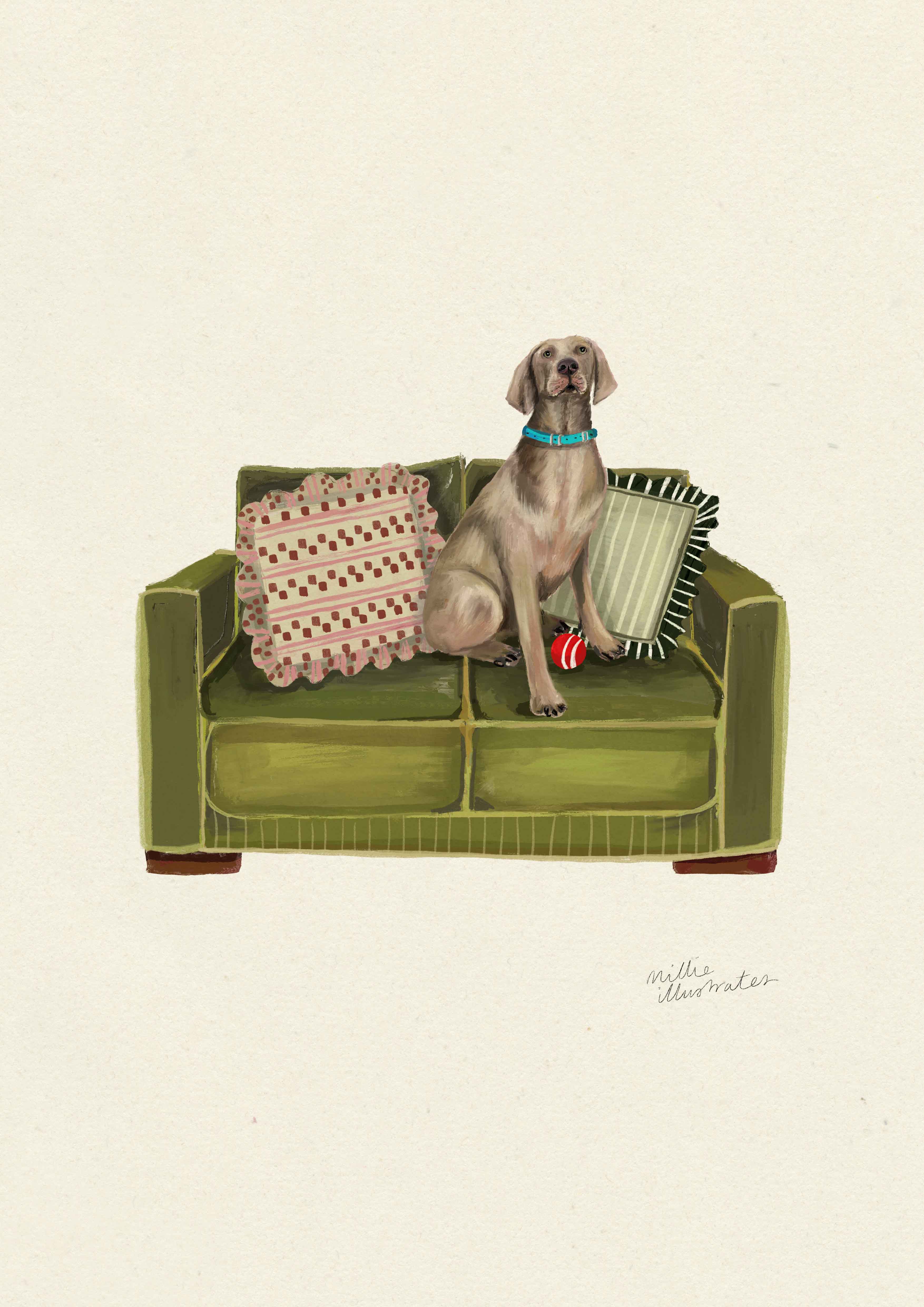 Weimaraner