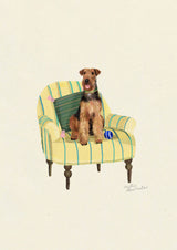 Airedale Terrier