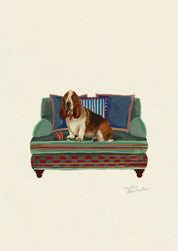 Basset Hound