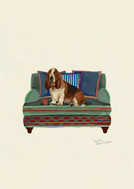 Basset Hound
