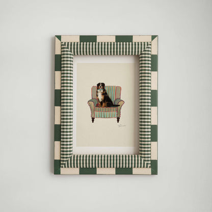 Bernese Mountain Dog