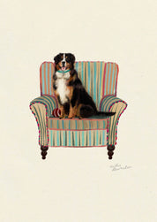 Bernese Mountain Dog