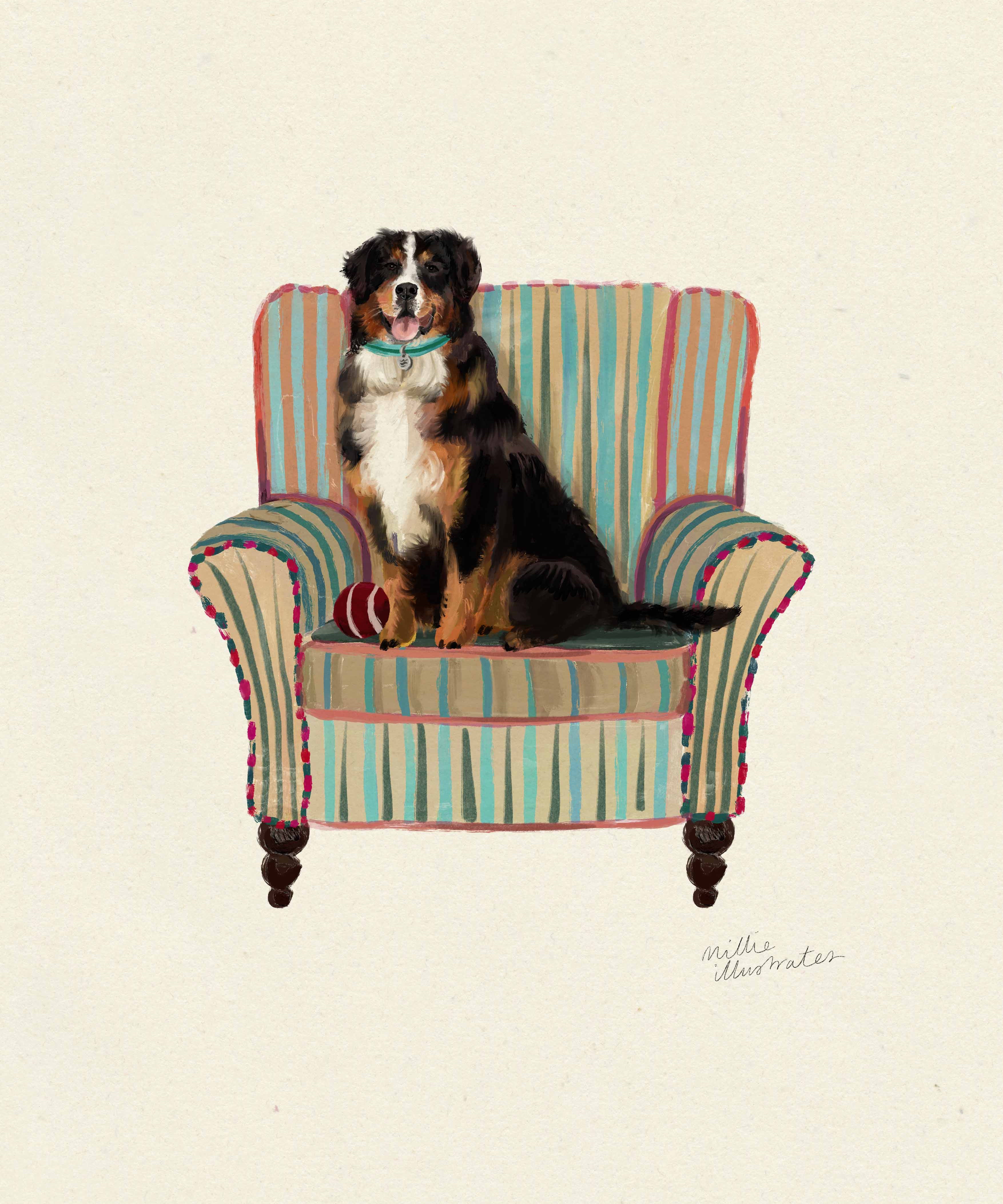bernesemountaindog.jpg