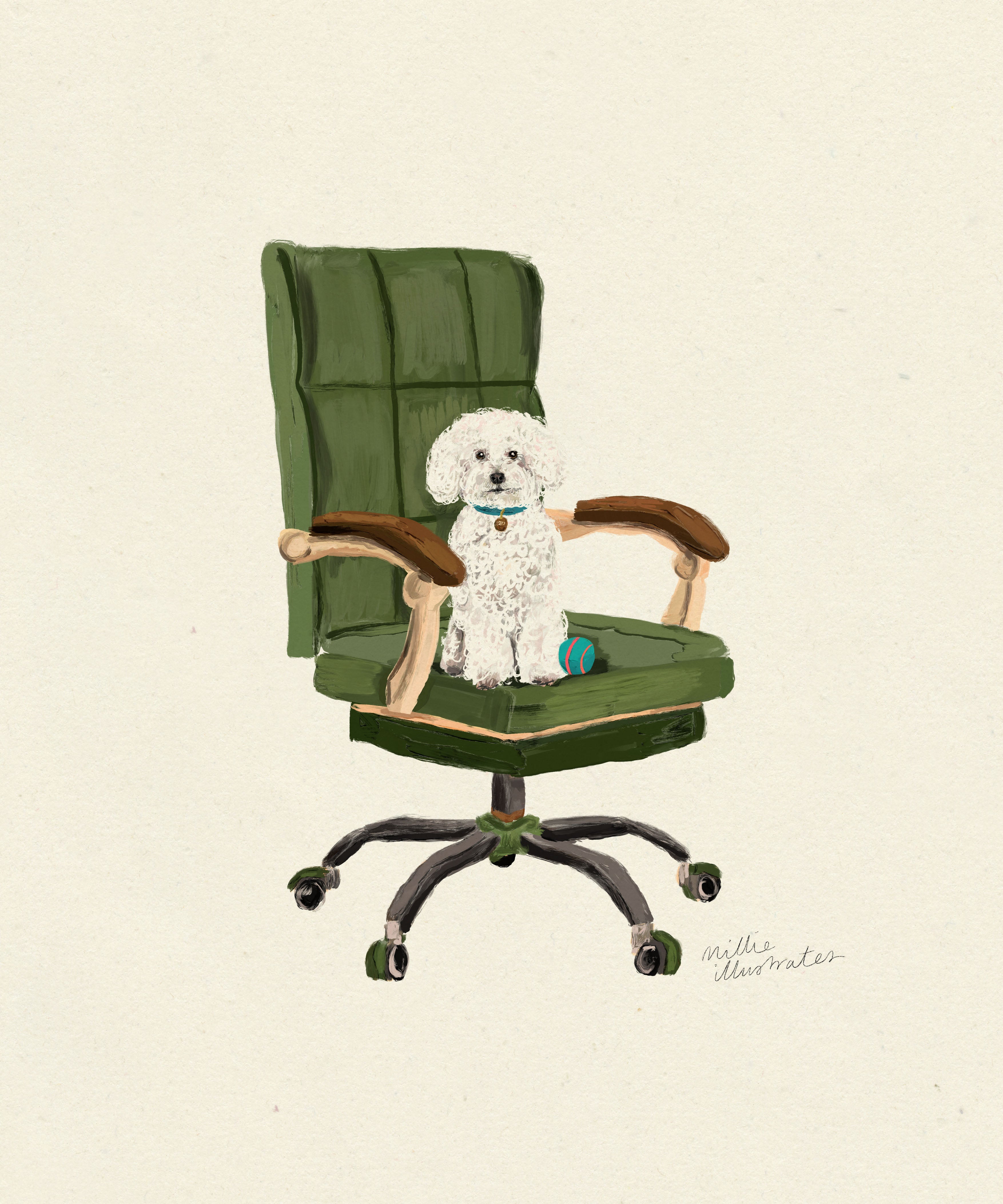 bichon.jpg