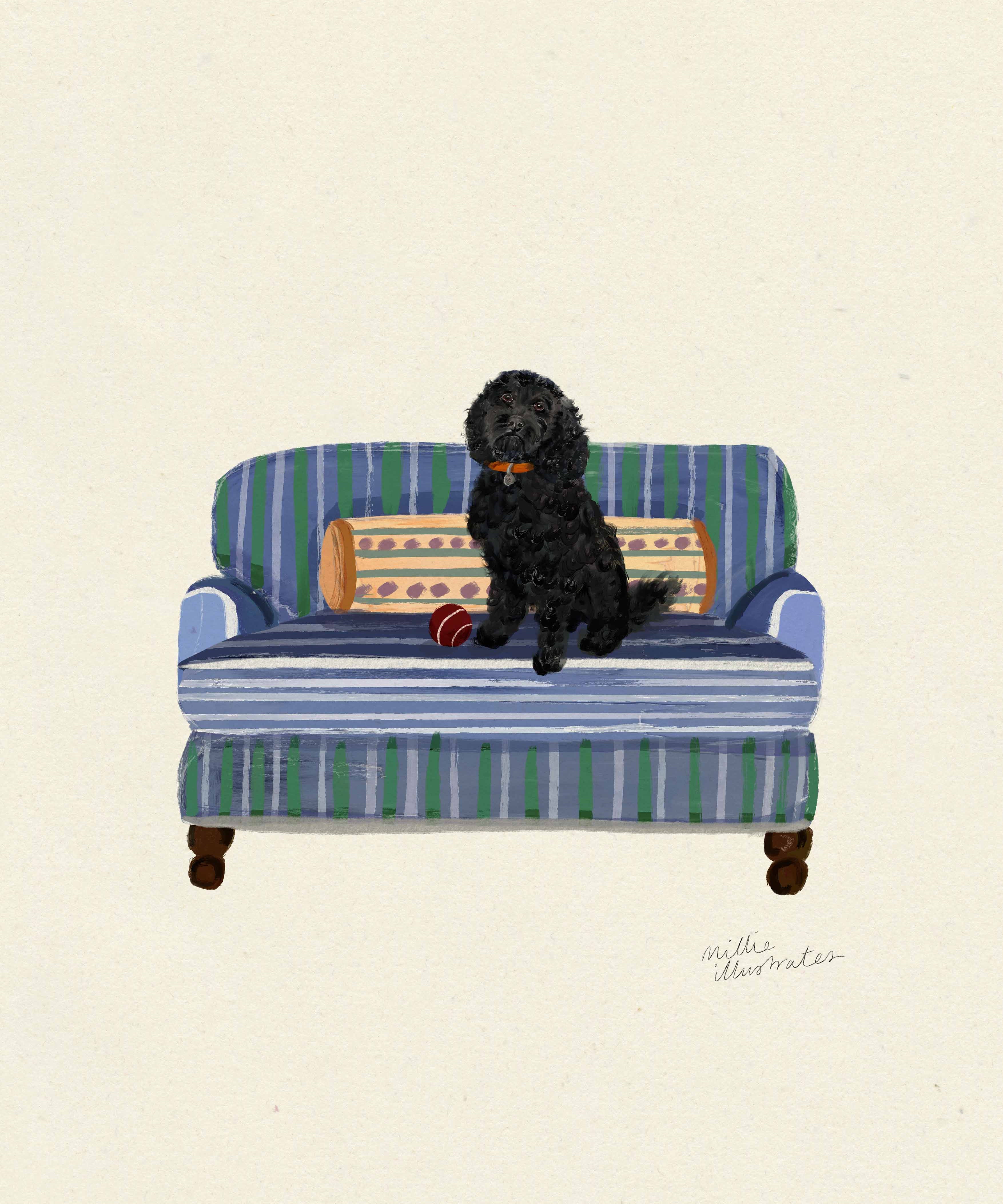 black_cockapoo_new.jpg