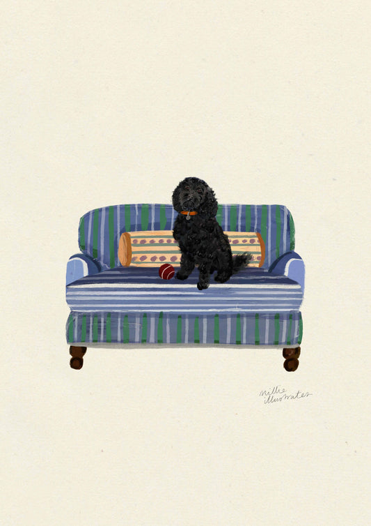 Black Cockapoo