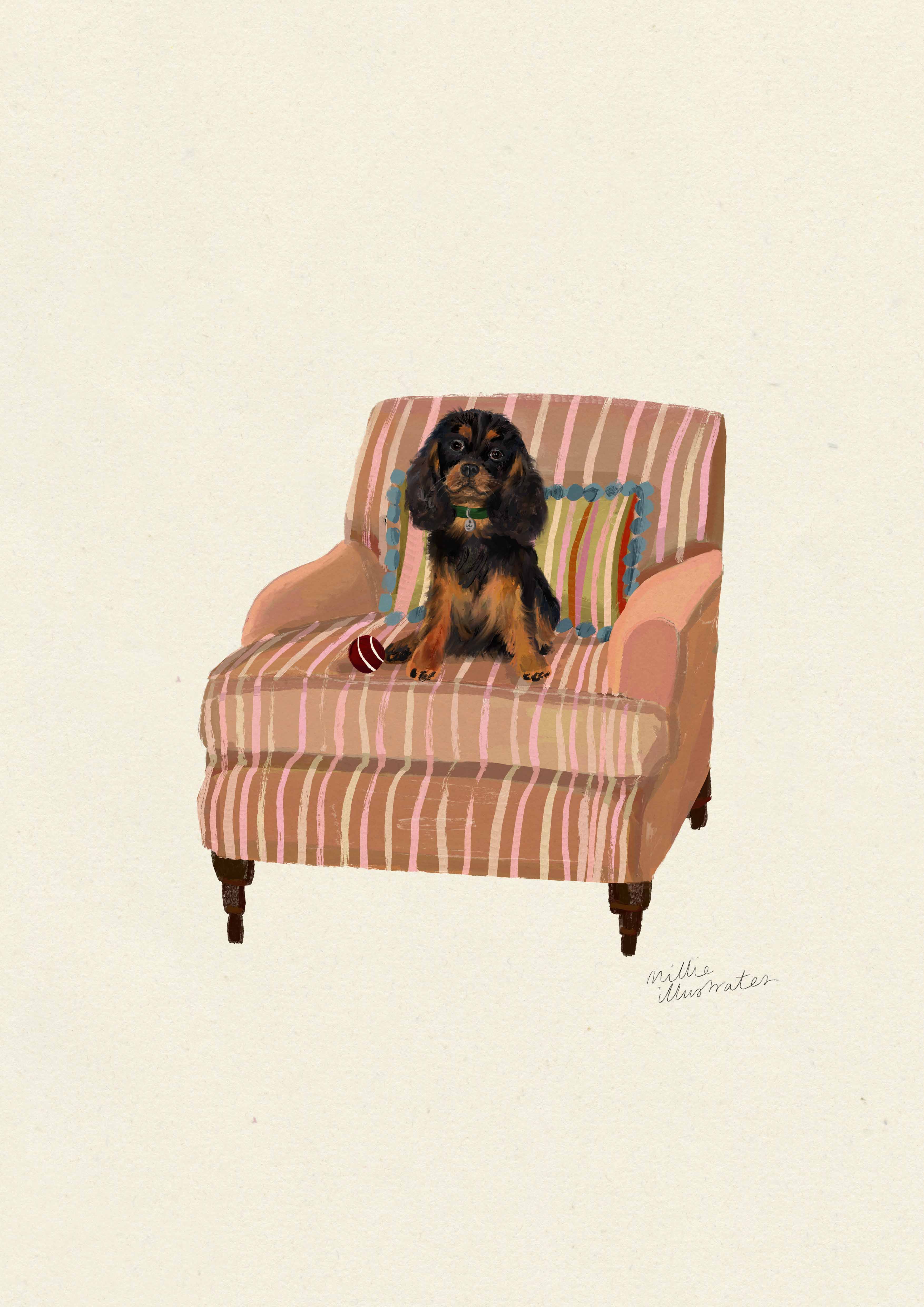 Black & Tan Cavalier King Charles Spaniel