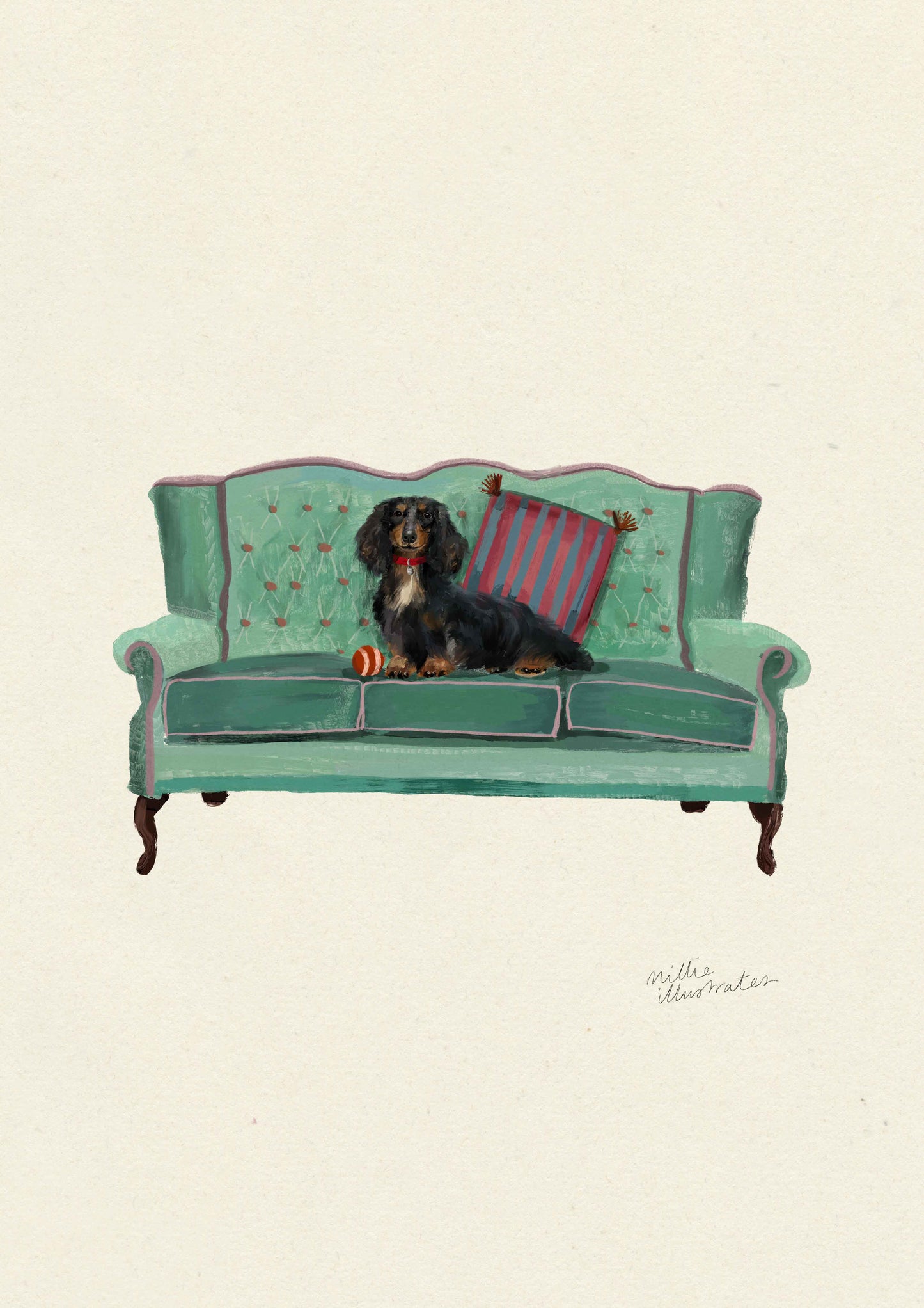Black and Tan Long Haired Dachshund
