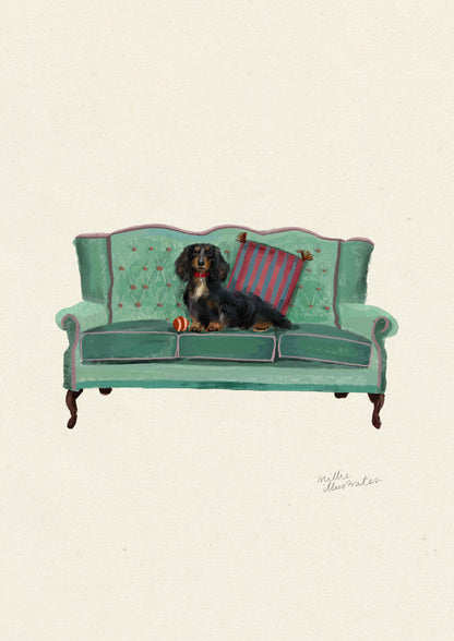 Black and Tan Long Haired Dachshund