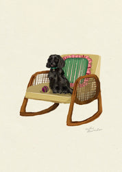 Black Cocker Spaniel