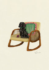 Black Cocker Spaniel