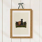 Black Labrador