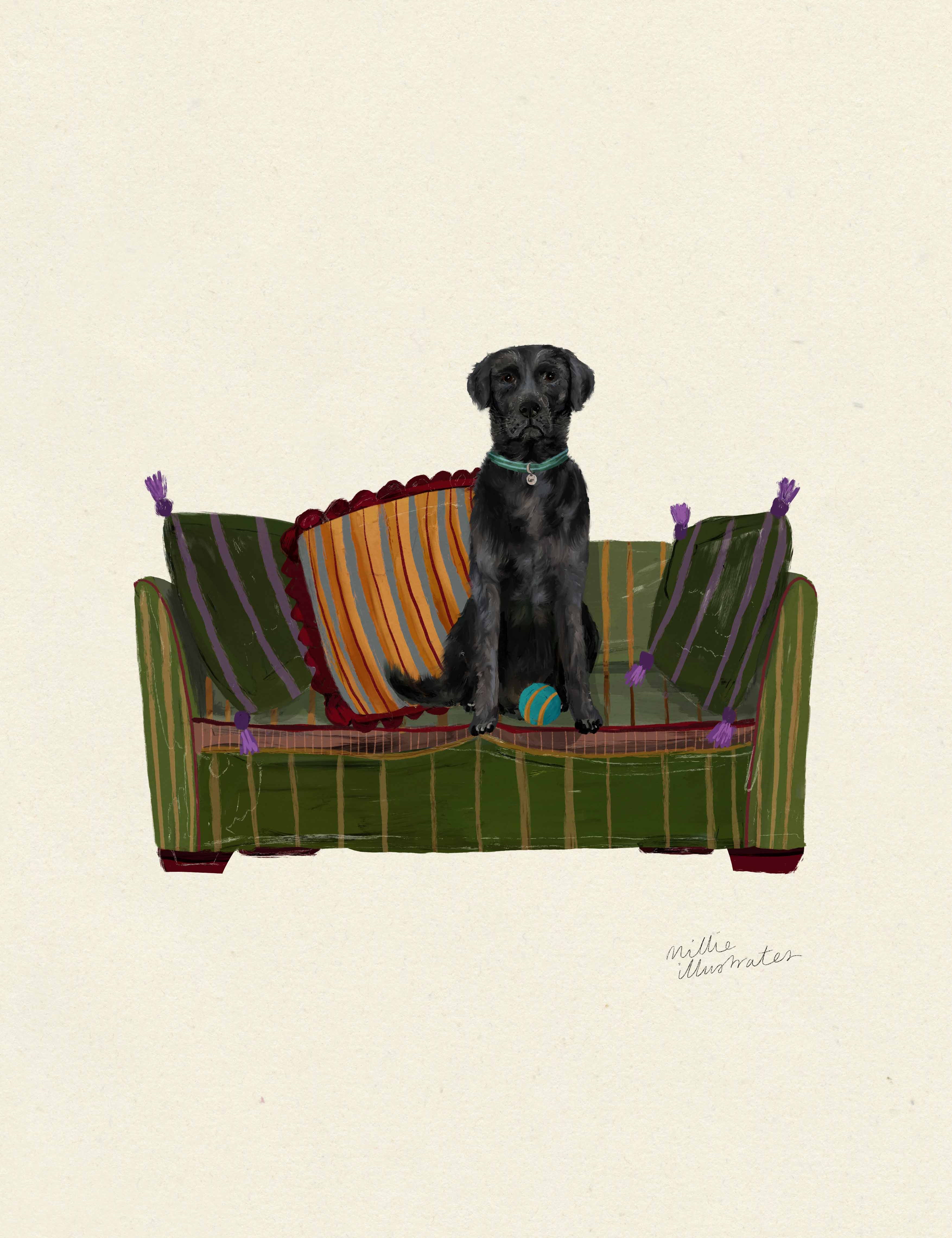 blacklabcopy.jpg