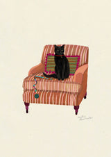 Black Short Haired - Domestic