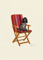 Blue Roan English Cocker Spaniel