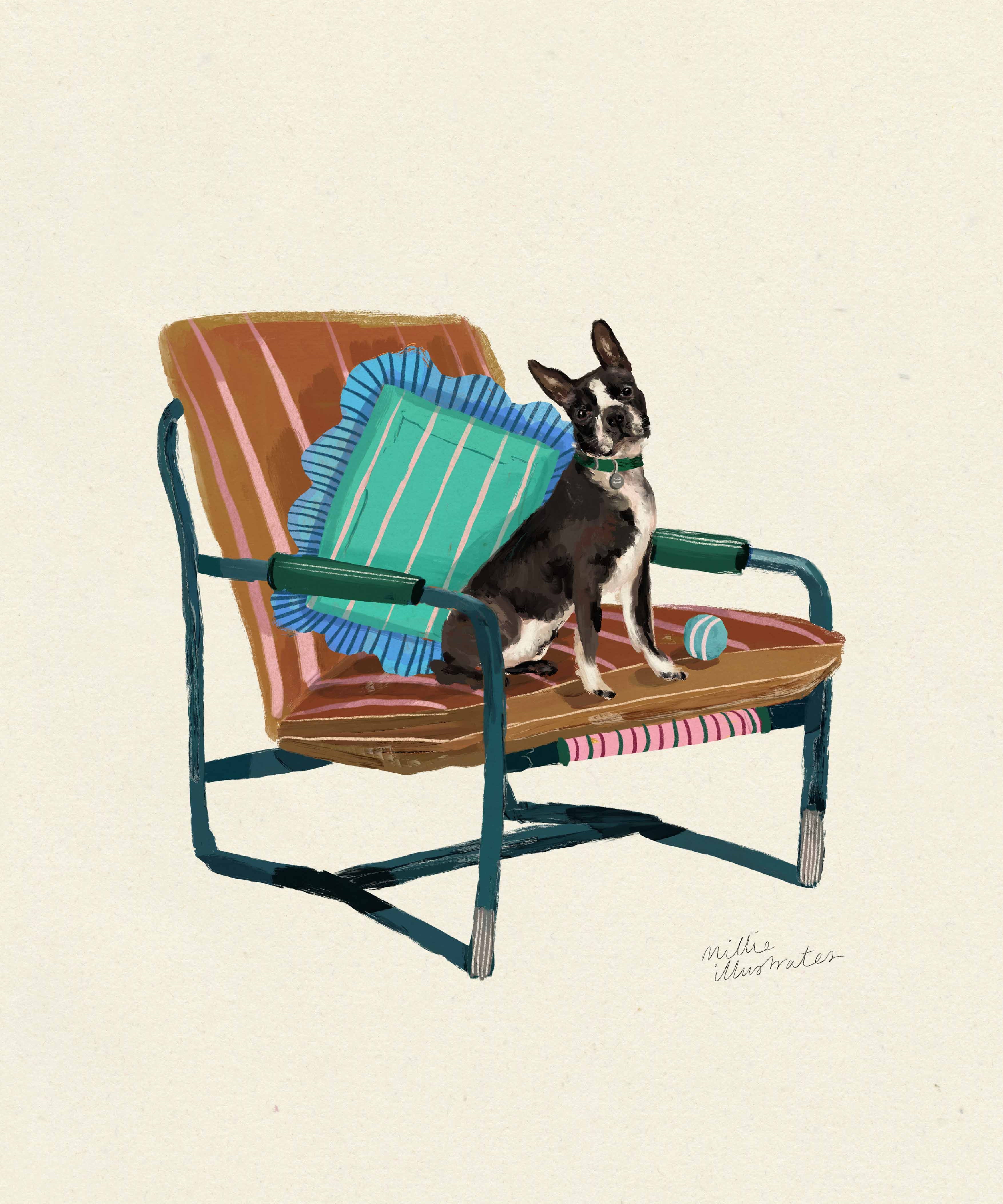 bostonterrierimage.jpg