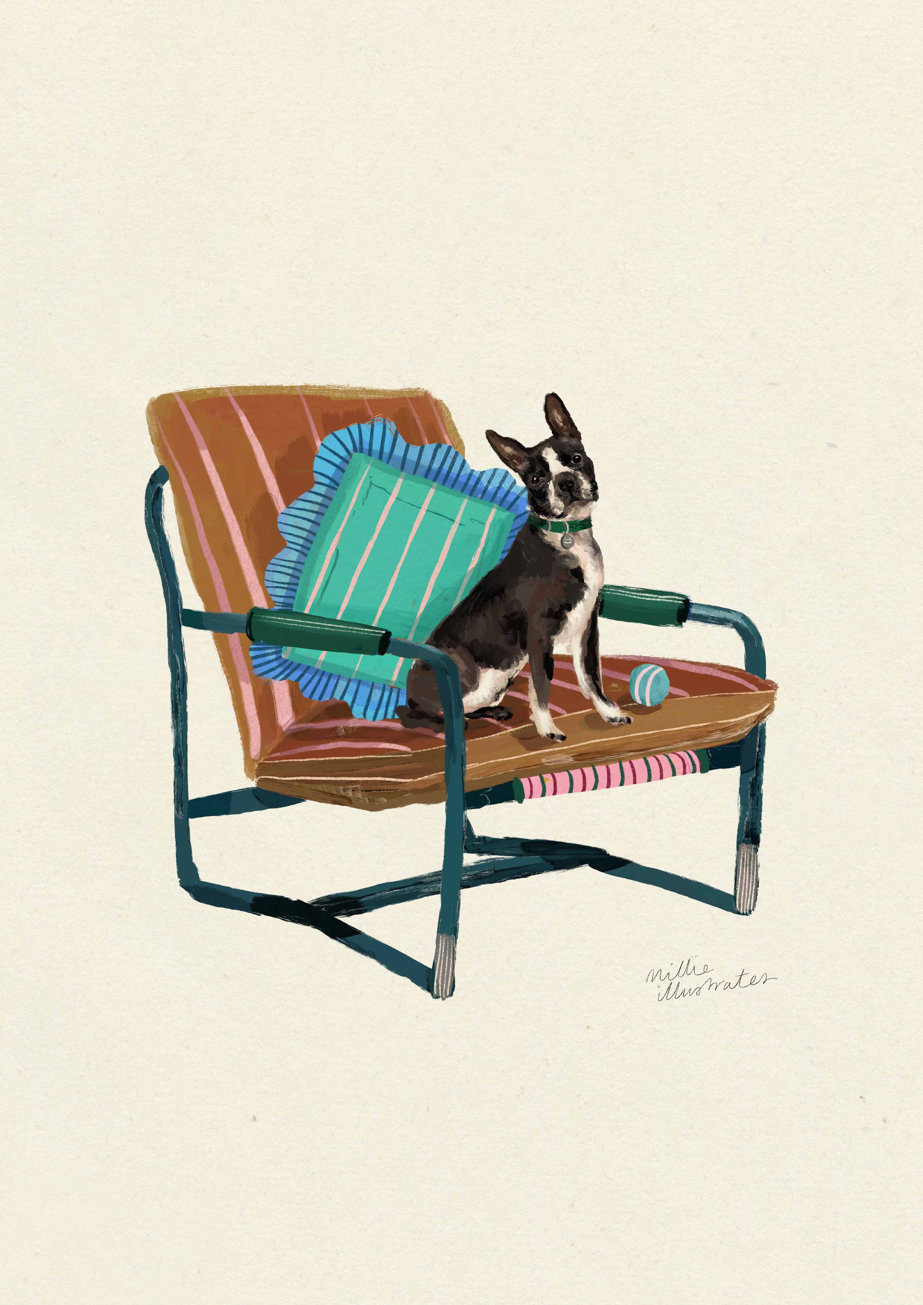 Boston Terrier