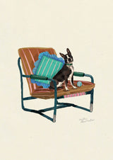 Boston Terrier