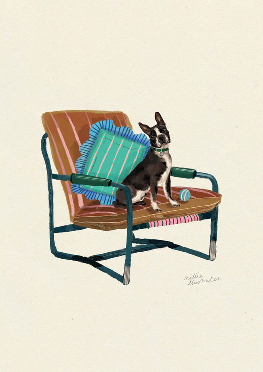 Boston Terrier