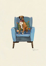 Boxer