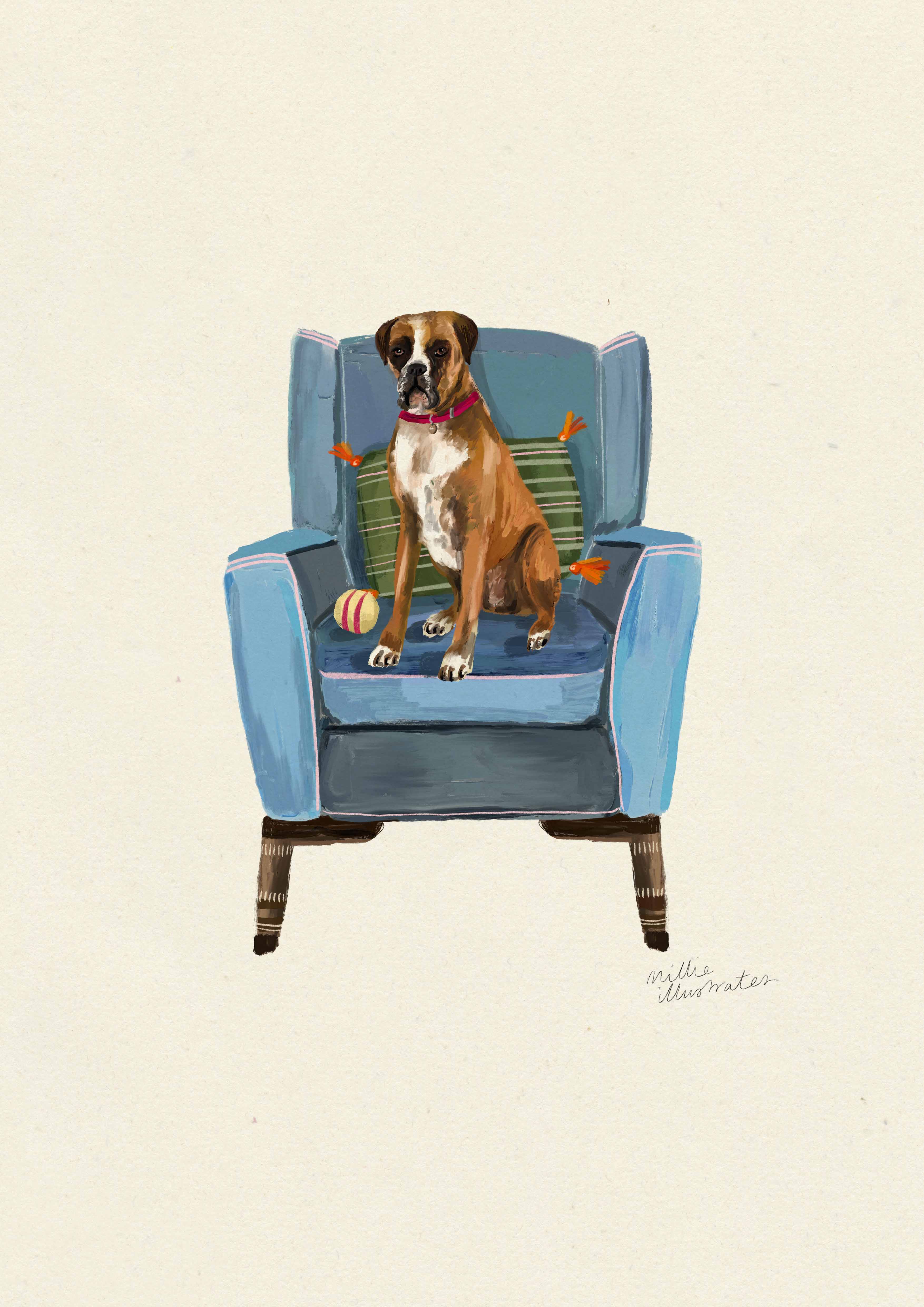 Boxer