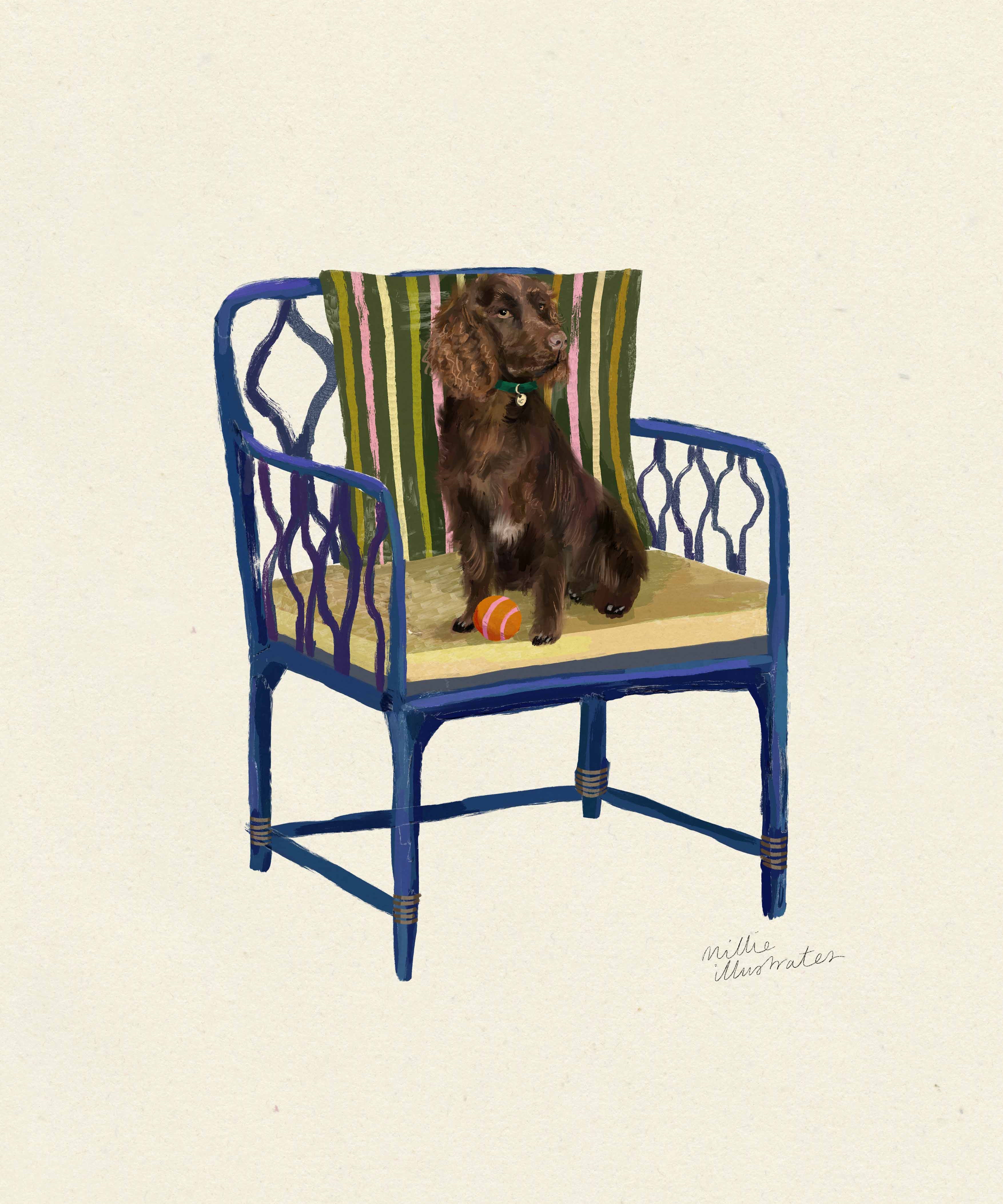 boykinspaniel.jpg